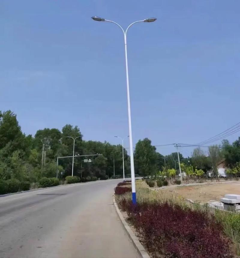 监控立杆与路灯杆 工厂直销的高质量选择，服务热线 18954366397